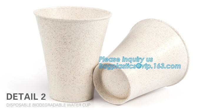 Meal Prep Containers Free Sample Bento Lunch Box Biodegradable Food Container Plastic Wheat Straw Lunch Box bagplastics