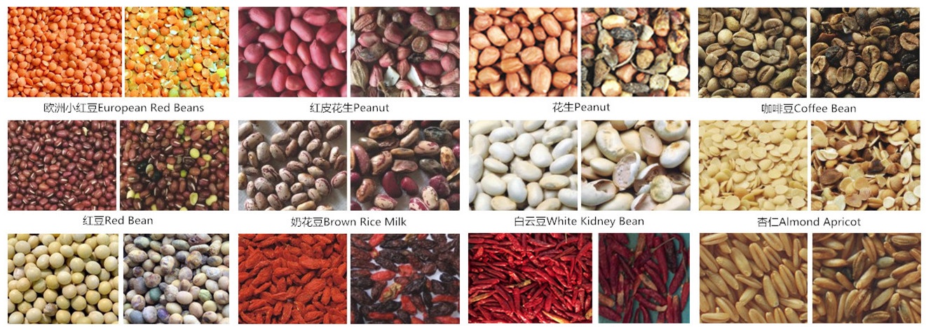 CCD Belt Color Sorter For Vegetable Processing With 1 Year Warranty