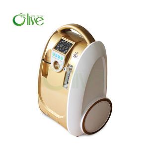Mini portable with battery and bag oxygen concentrator