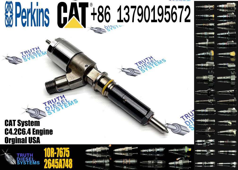 C4.4/C6.6 Engine Injector For CAT 326-4700 326-4756 326-4740 10R-7951 2645A717 10R-7675 32F61-00062 32F61-00014 32F61-00022