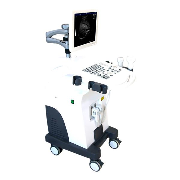 Quality 4 Probe Trolley 4D Color Doppler Ultrasound Scanner for sale
