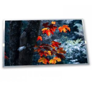  7.0-Inch WLED TFT LCD Display Module TM070RDH10-40 800*480 Resolution Various Application Custom ODM LCD Modules Manufactures