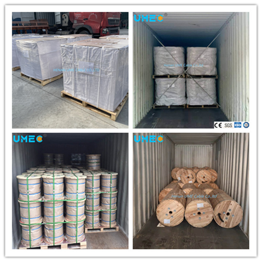 BS 6004 6242y Bare Copper Wire BVVB Flat Twin and Earth Electric Cable TPS Electrical Cable