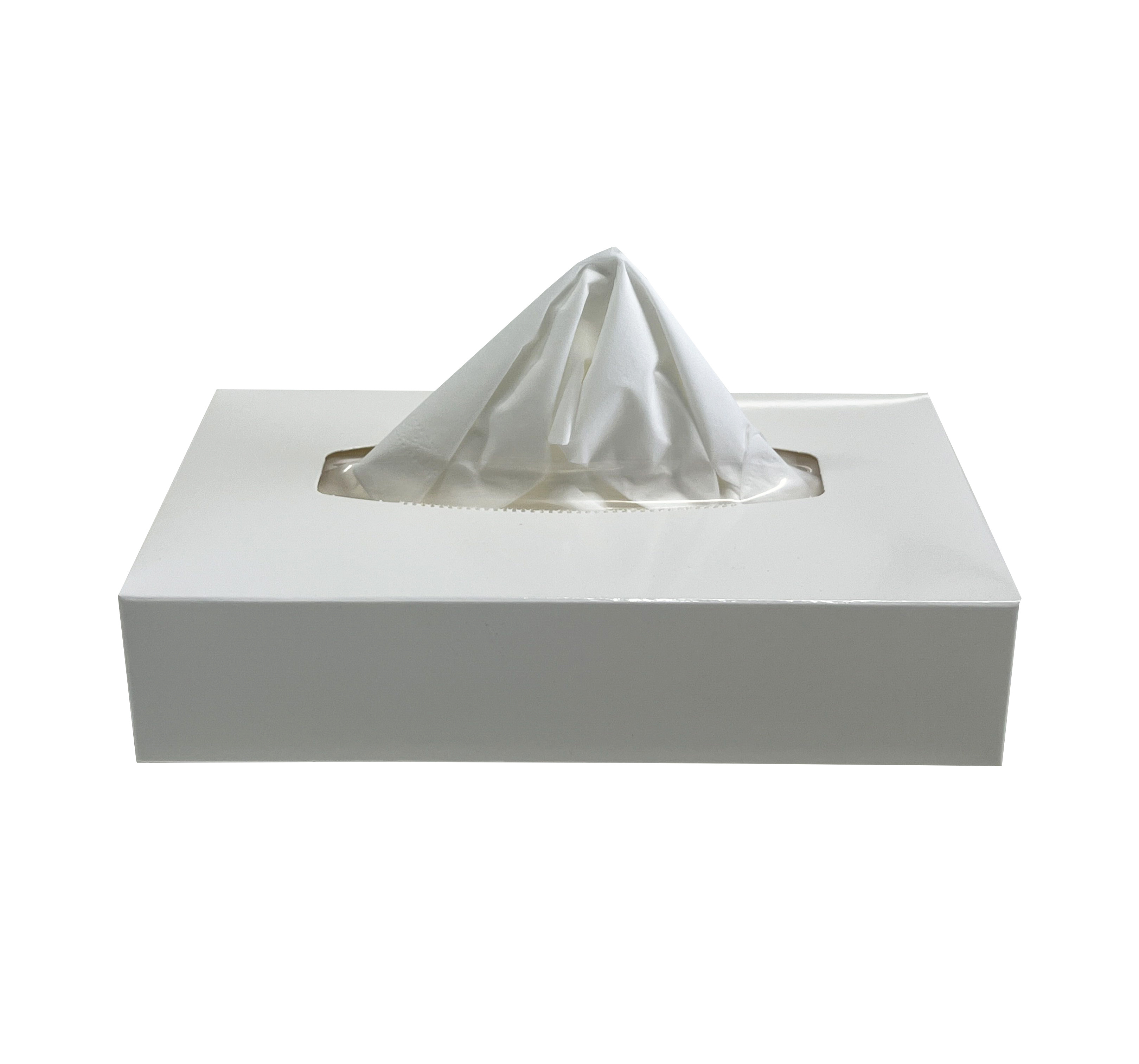 Home Soft Skin-Friendly Dry Tissue Paper with Strong Water Absorption 2 Layers