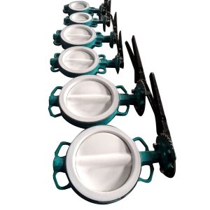 CE Customized DN80 Manual Nylon Butterfly Valve with lever