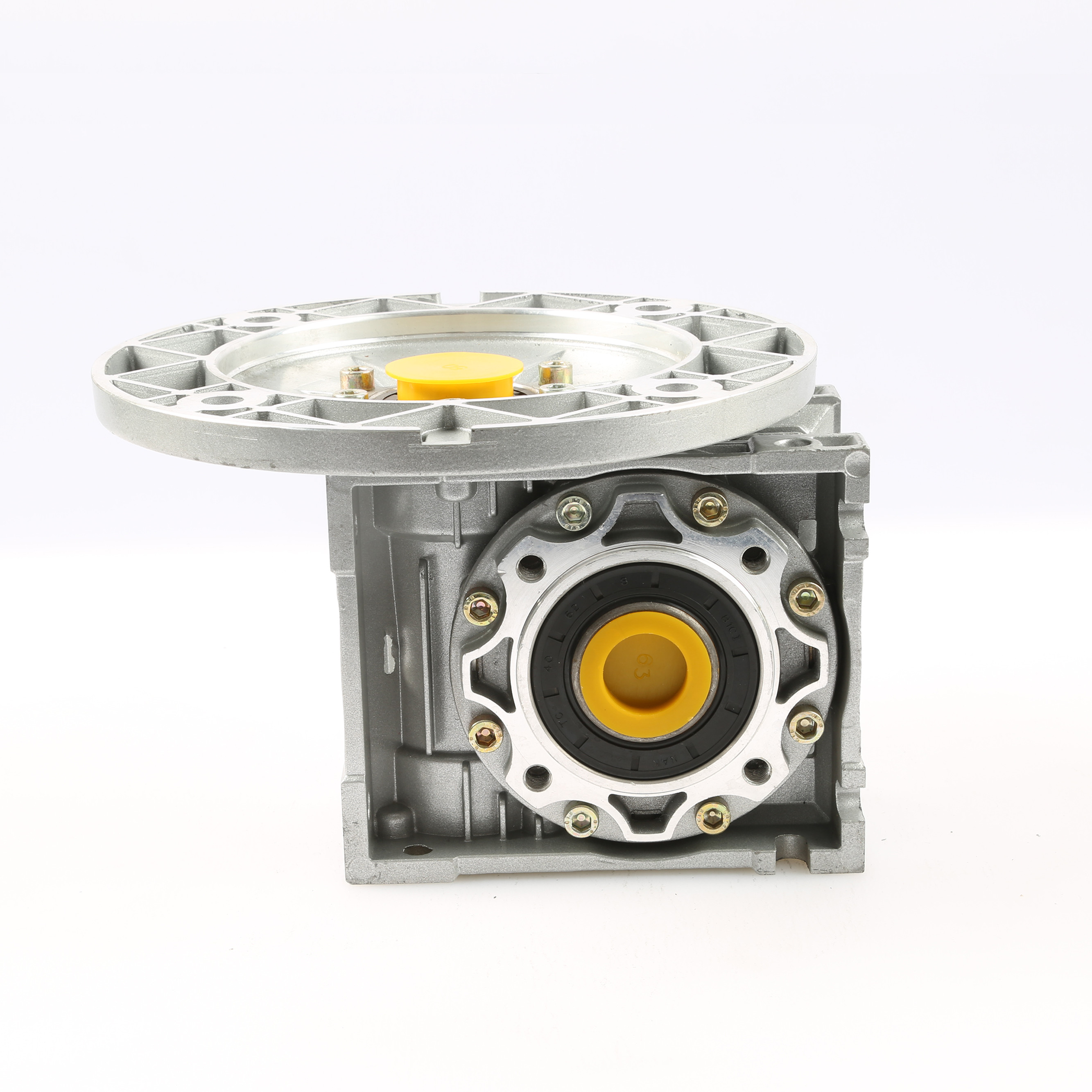 Reduction Ratio 1:60 Worm Gear Motor