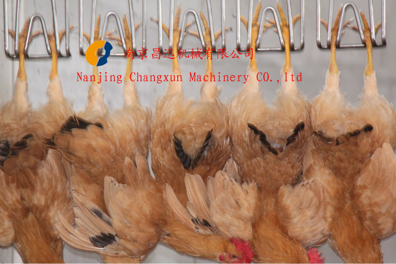 Suit for Chicken Duck Goose Bird Halal Automatic Control Electric Chicken Stunner