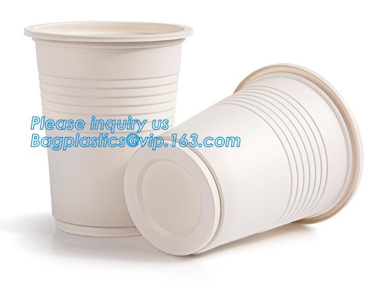 Meal Prep Containers Free Sample Bento Lunch Box Biodegradable Food Container Plastic Wheat Straw Lunch Box bagplastics
