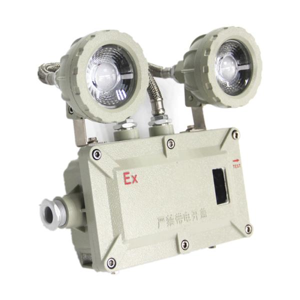 Outdoor Explosion Proof Emergency Lights IP66 36 Vac 2*5W Emergency Lamps