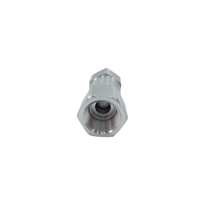 Split High Pressure Stainless Steel Wire Check Valve with Femal Thread