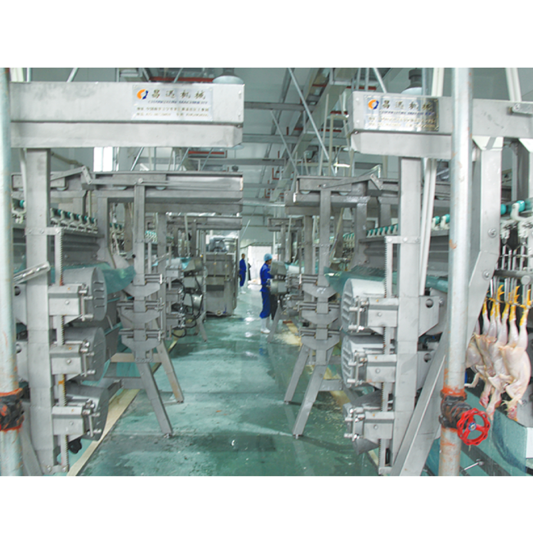 500 Bph Chicken Slaughtering Line 220V / 380V Chicken Plucker Machine