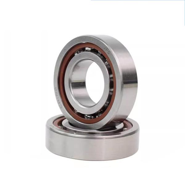 65bar10styndblp4a; 65bar10htyndblp4a Angular Contact Ball Bearings Material