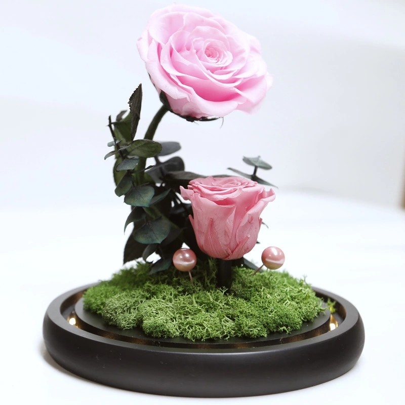 Beauty and the beast roses valentines day real preserved rose in glass that lasting 3 years