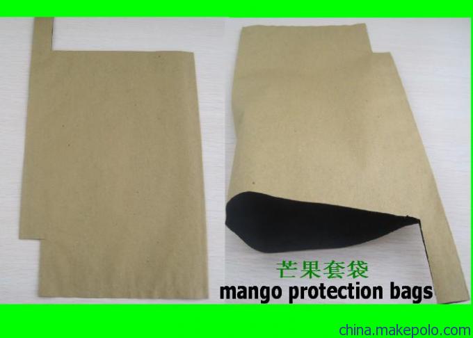 Mango growing bag factory price
