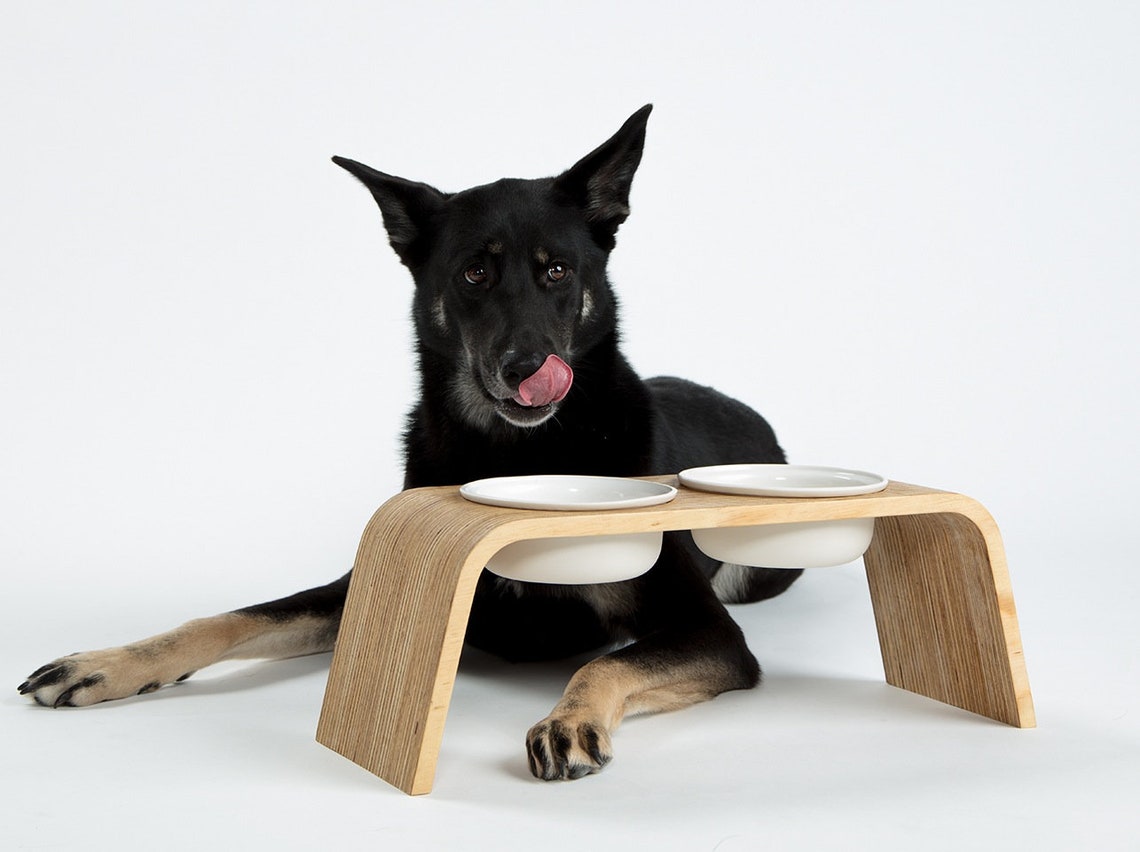 OEM ODM Personalized Pet Bowls Ceramic Elevated Dog Bowls Eco Friendly