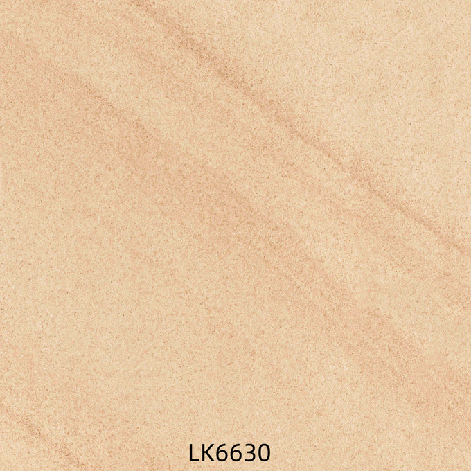 Antibacterial 600x600mm Full Body Porcelain Tiles And Gray Outdoor Wall Tile For Kitchen And Apartment