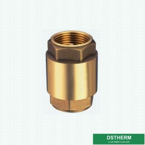 Customized Heavier Type Non Return One Way In-Line Brass Spring Check Valve With