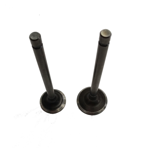 Professional supplier Abroad/Oversea for sale bajaj 175 Valve