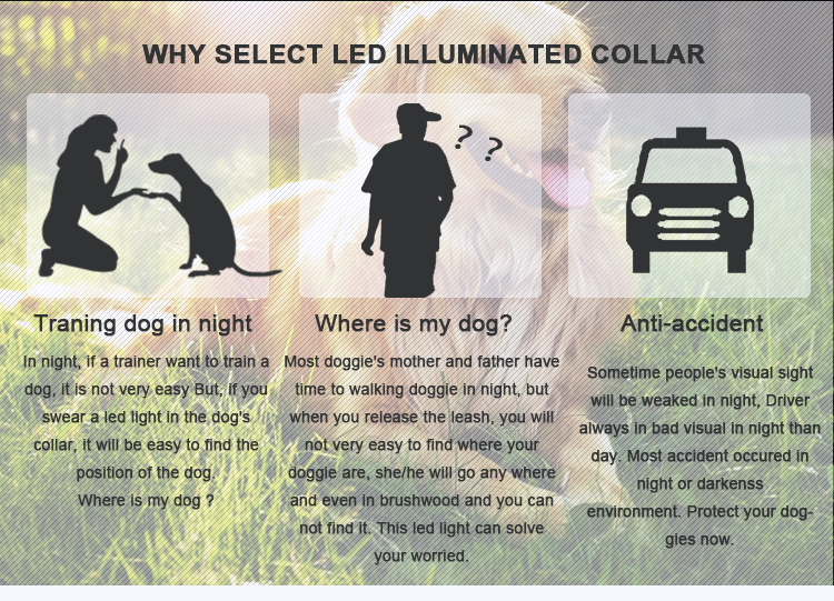 Customized LED Dog Collar Waterproof Luminous Colour Blue USB Rechargeable
