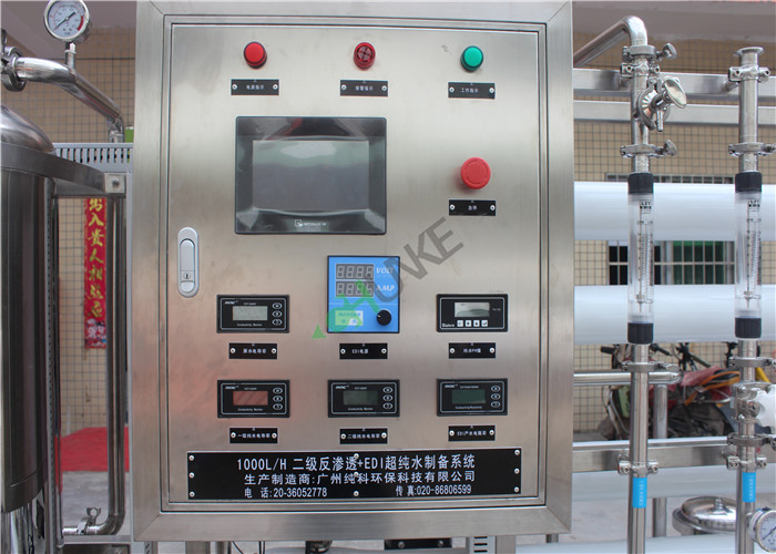 Reverse Osmosis Ro EDI Water Treatment Electrodeionization System SS304
