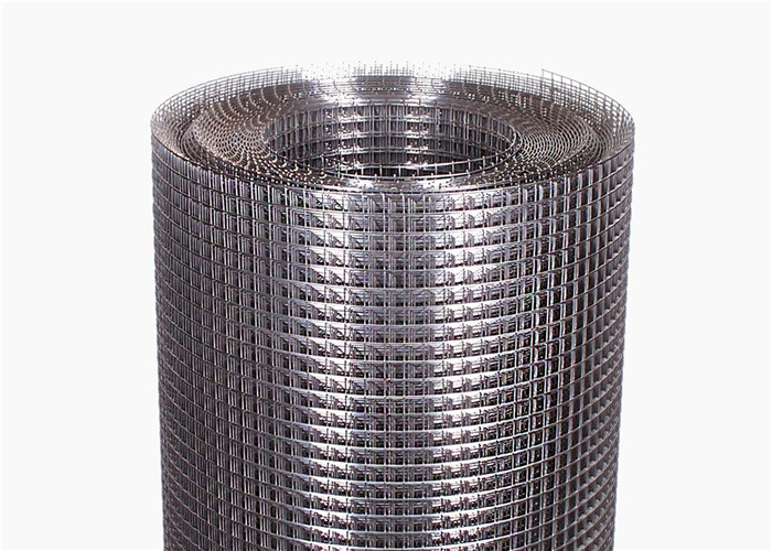 6ft Width Electric Fusion Hot Dipped Galvanized Wire Mesh 19 X19x1.6mm Dia