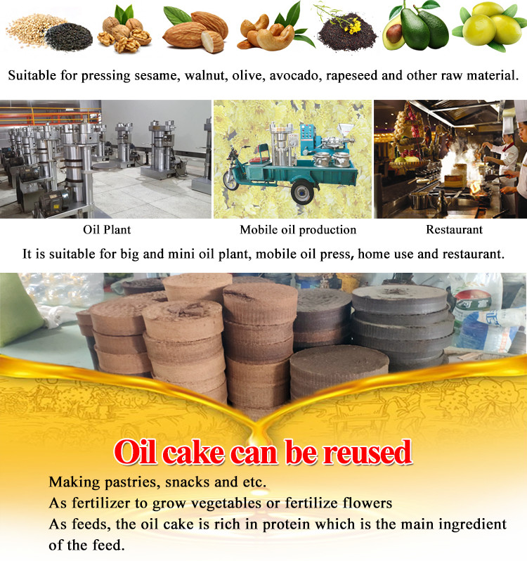 90%-95% Oil Yield Edible Sunflower Seed Peanut Cooking Oil Making Machine with Copper Motor