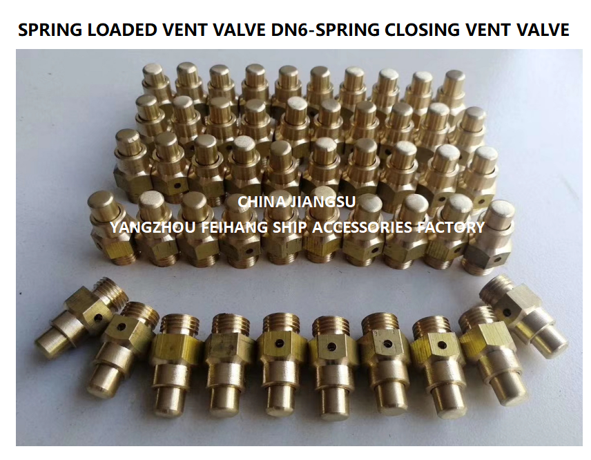 DN6 Threaded Spring Loaded Vent Valve with CB/T3778-1999 Standard for Marine