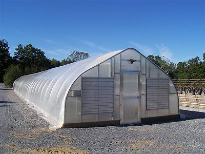 Single Span Steel Frame Tunnel  Greenhouse With Plastic Covering 0