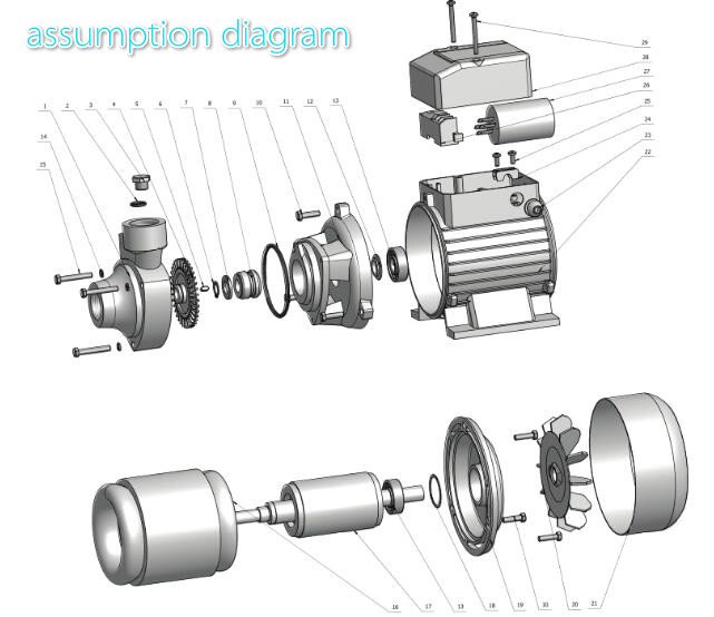 peripheral water pump