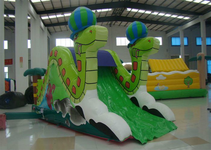 Mini Snake Style Commercial Inflatable Water Slides 0.55mm Pvc Tarpaulin Safe Nontoxic