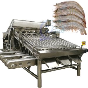 Automatic shrimp sorting machine for shrimp peeling fresh prawn washing rolling sorting machine shrimp grader