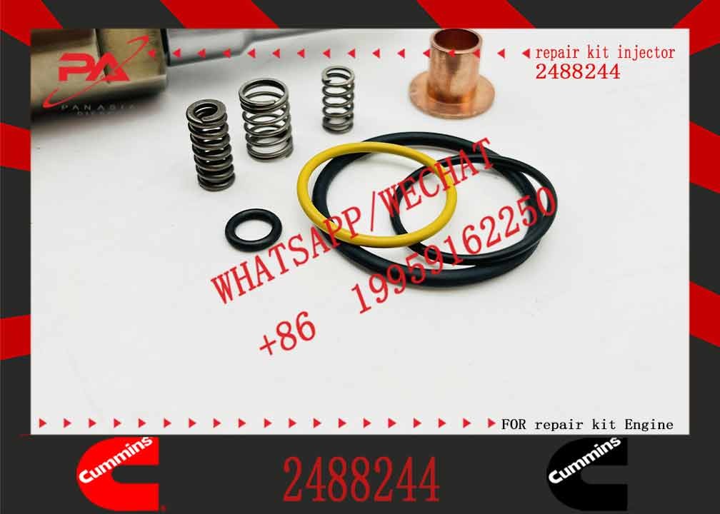 Common RailDiesel Injector 2488244 Engine DC09/DC13/DC16 for Scania
