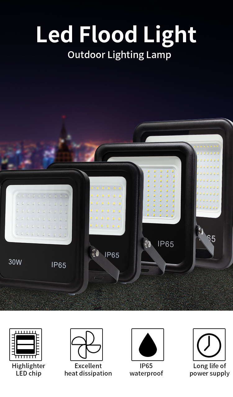 30W 50w 80w 100w 200w 300w Outdoor Wall Flood Lights High Power Super Bright 12V