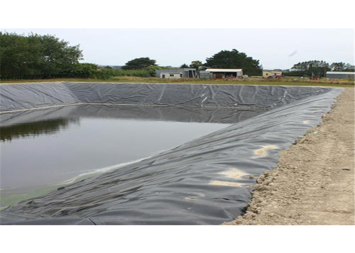 Hdpe Swimming Pool Polyethylene Geomembrane Flexible Small Pond Liner