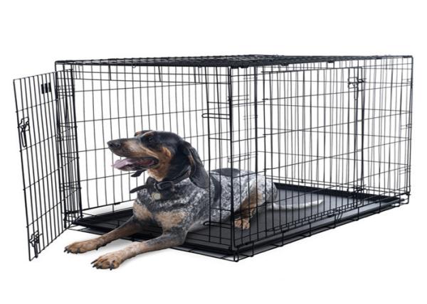 Pet cages dog cage stainless steel commercial dog kennels pet cages carriers