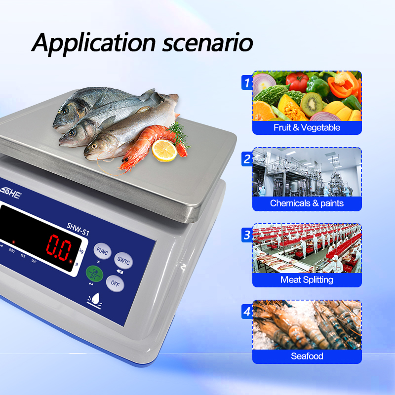 Double Screen Waterproof Electronic Scale with LED Display and 30kg Maximum Capacity