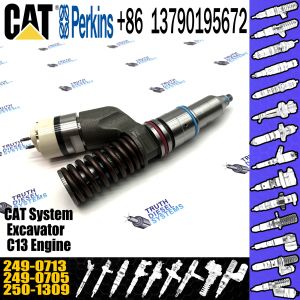 China Diesel Engine Parts 249-0713 Fuel injector CAT engine 345C 345D C11 C13 Fuel injector 2490713Popular on sale