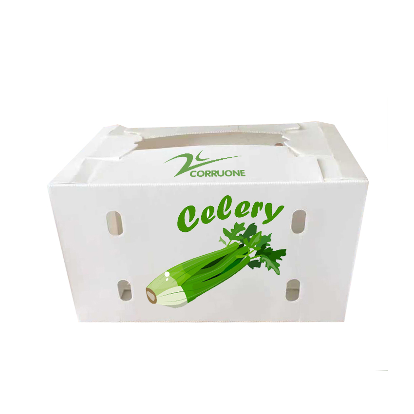 Embossing PP Vegetable Corrugated Boxes Rice Meat Corflute Box