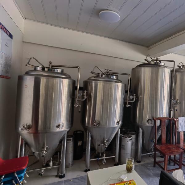 220V GHO 300L Brewery Jacketed Fermenters for Fermenting Equipment at Competitiv