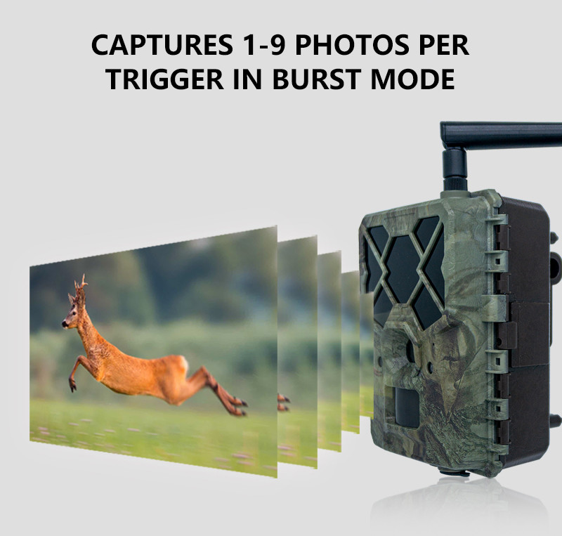 Monitor Wildlife 4G wireless Trail Camera APP Remote Remote low price 18650 battery long working time