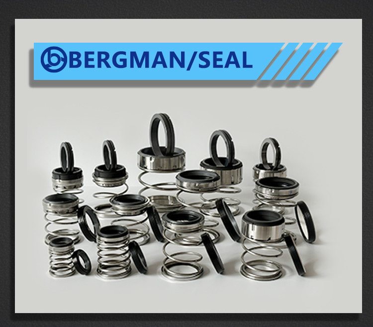 BERGMAN TYPE/T21S Inch Graphite Silicon Carbide Tungsten Carbide Nitrile Viton EPDM Pump Mechanical Seal