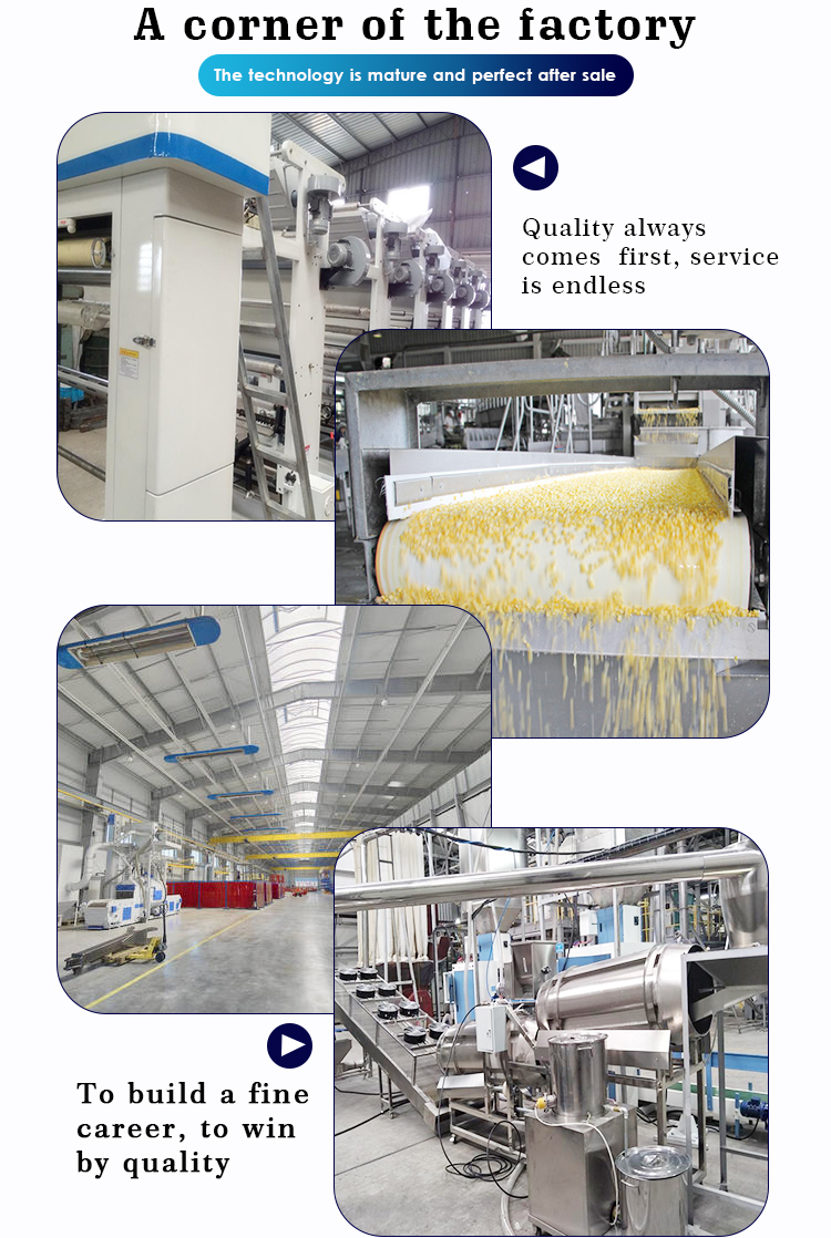 300kg/H Single Screw Macaroni Production Machine Full Automatic