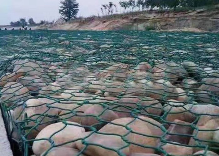 3.7mm Zinc Aluminum Alloy Heavy Hexagonal Wire Netting Gabion Mesh 100x150mm Opening