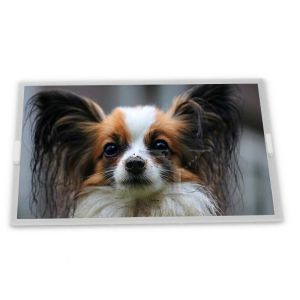 LKBFBTJ61Y60S lcd display panel in stock for quick delivery