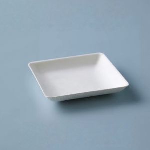 Compostable Irregular Shape Sugarcane Sauce Dish Biodegradable Mini Leaf Shaped