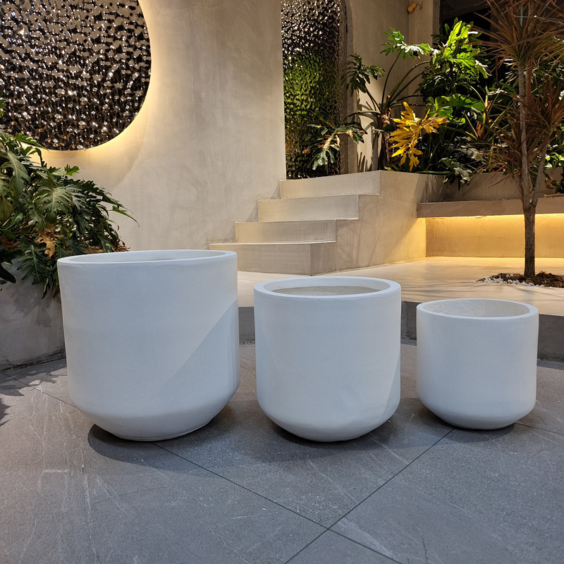 Wholesale Real Plant Display With Fiber Clay Planters Decoration