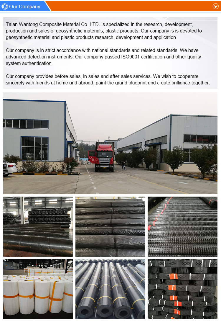 Composite Protecting Layer 3D Geomat for Drainage and Plant Protection in Villa HDPE