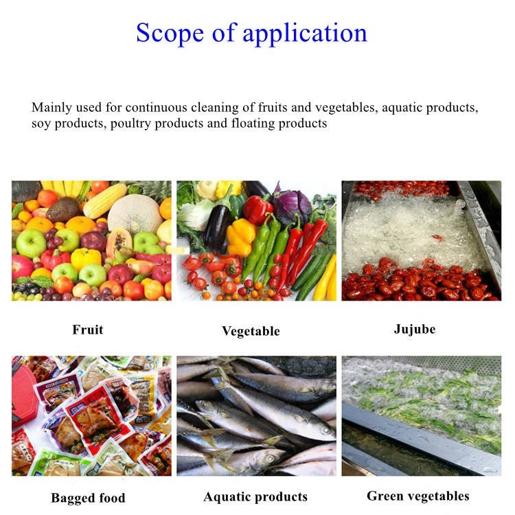 100kg/H Industrial Grade Fresh Vegetable Washing And Drying Machine SS304