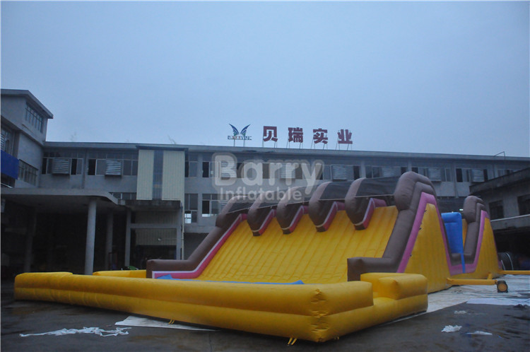 Custom Amusement Amazing Adults Inflatable Obstacle Course With Swimming Pool