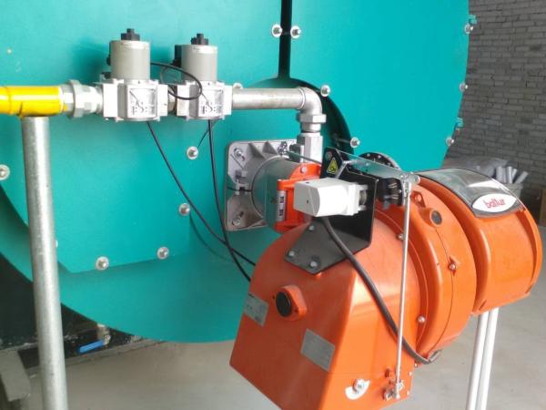 WNS 2tph Heavy Oil Steam Boiler Horizontal For Greenhouse Heating System